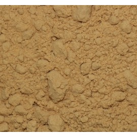 CB Squid Extract
