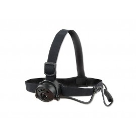 Carp Spirit Lumin-8